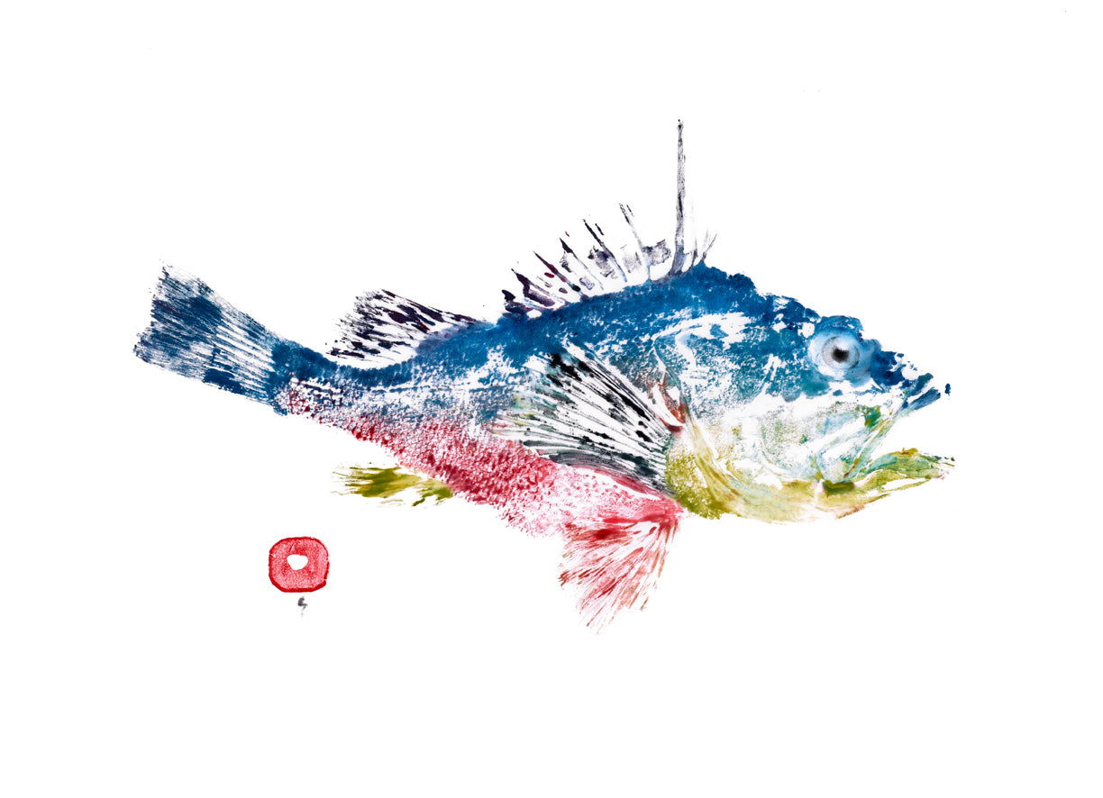 Rockfish Print on paper