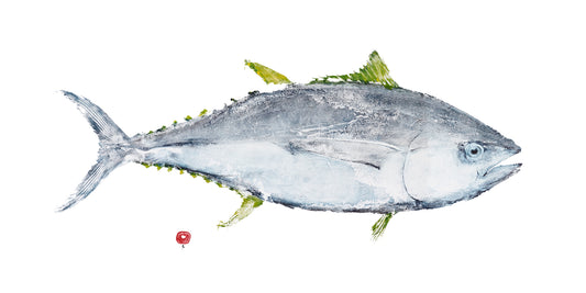 Yellowfin Tuna Print Toni