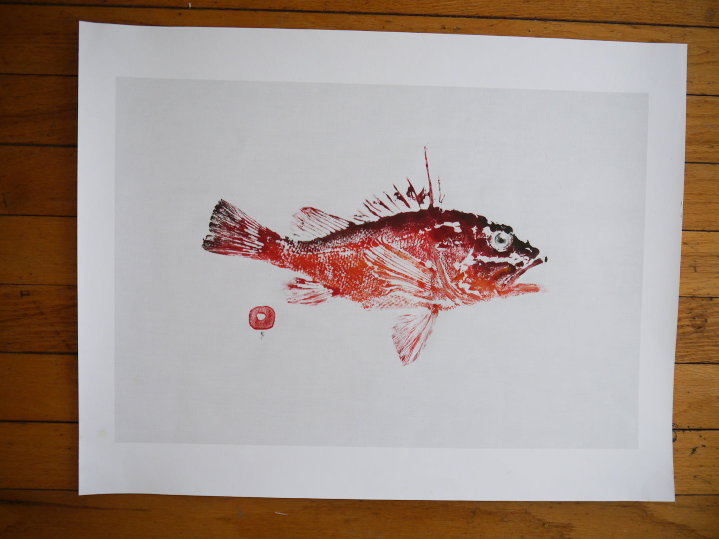 REDRockfish Red