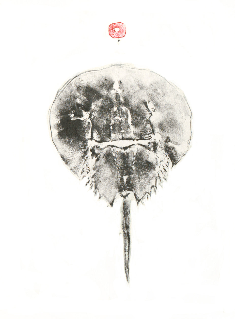 Horseshoe Crab Print