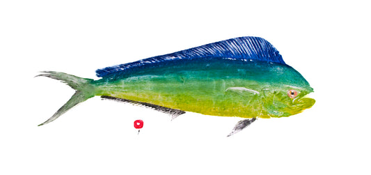 mahimahi color