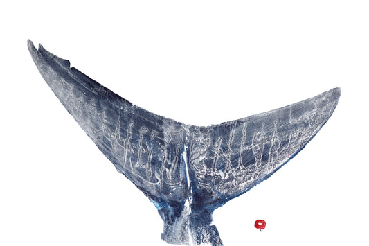 Mako Shark Tail print