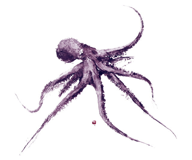 OCTOPUS Live Cabernet