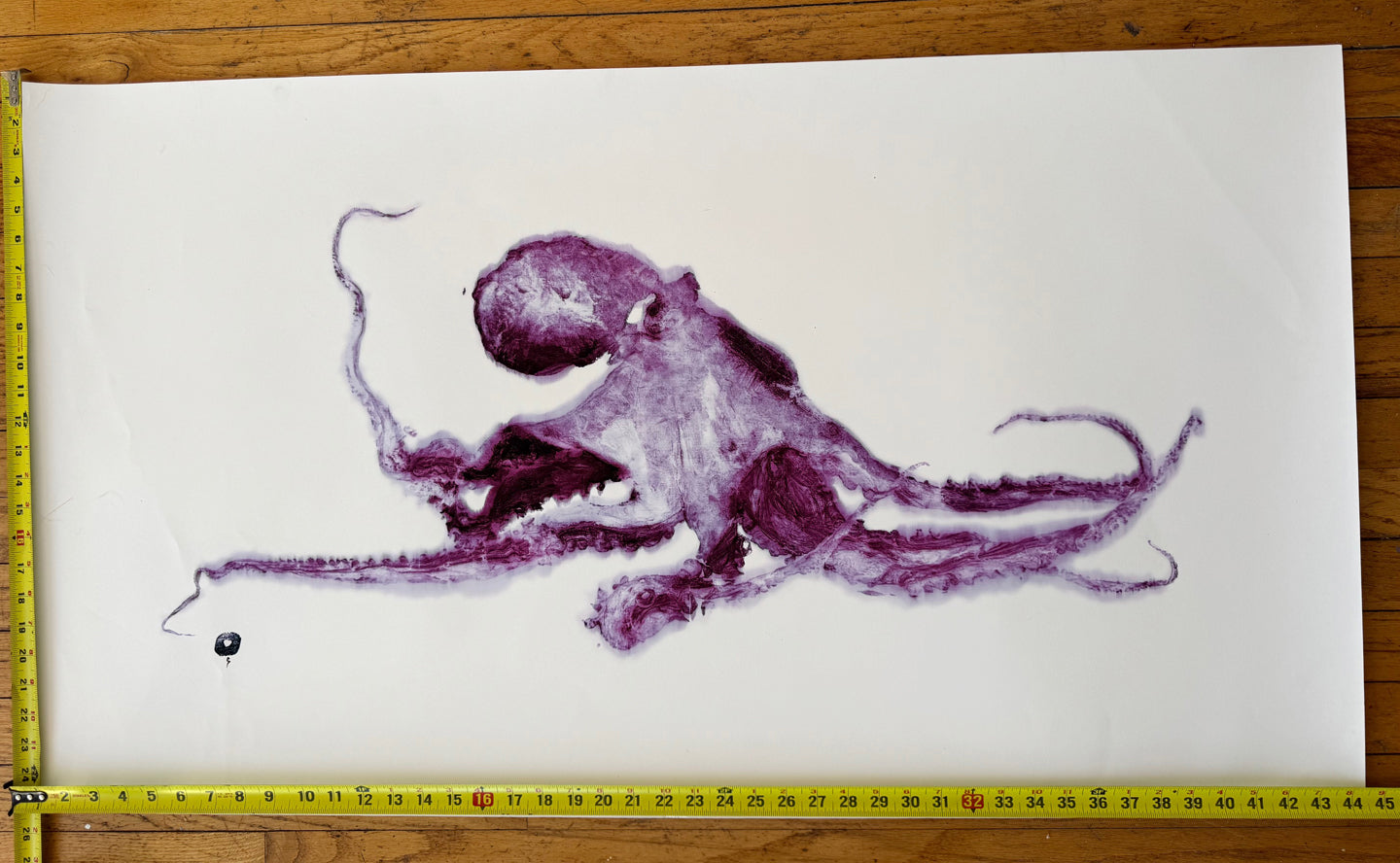 octopus light purple