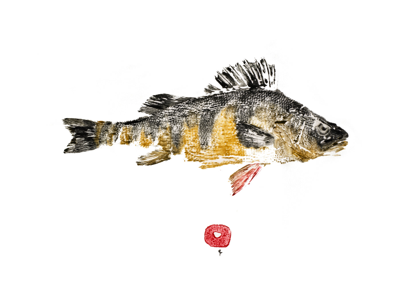 Yellow Perch