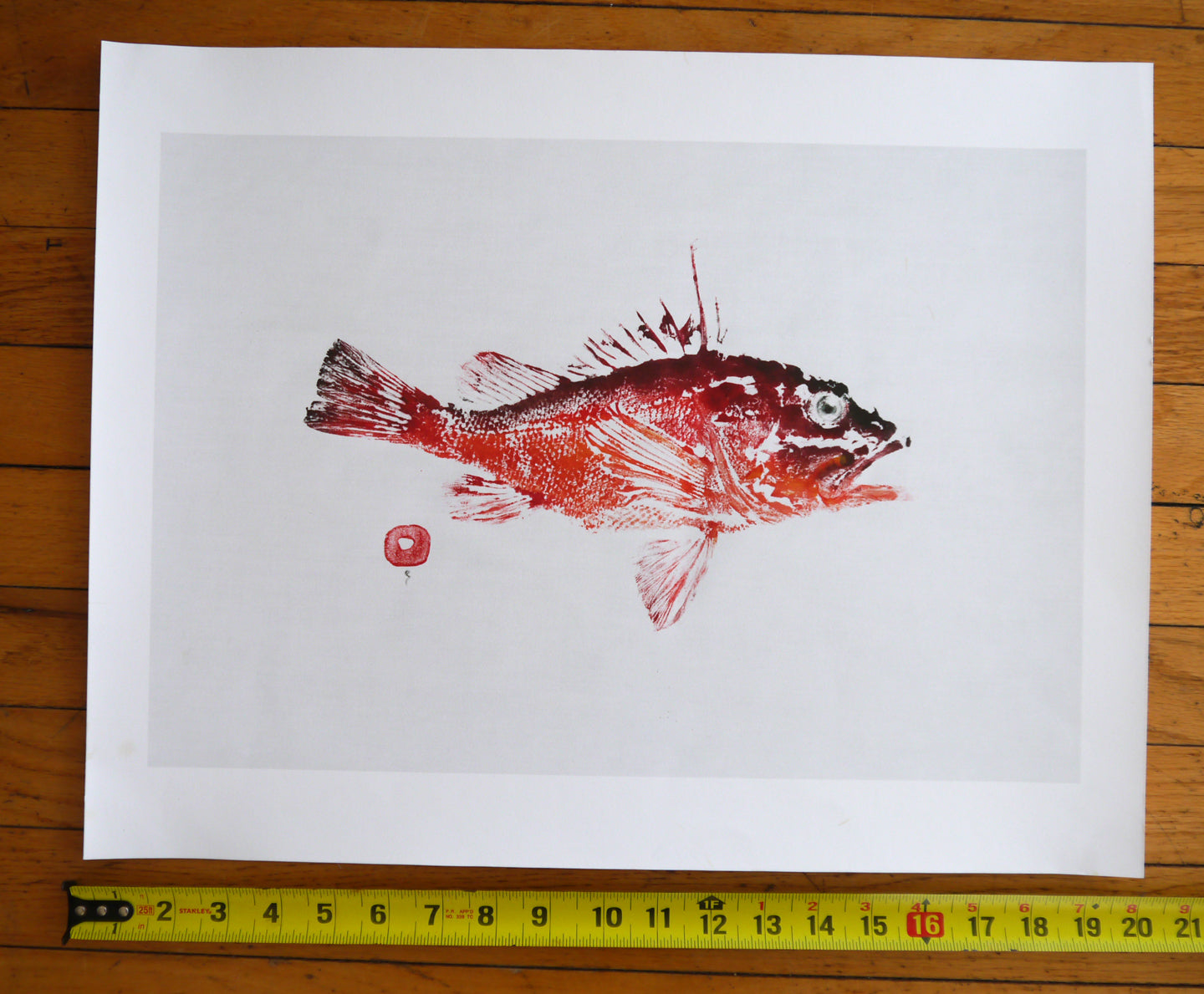 REDRockfish Red