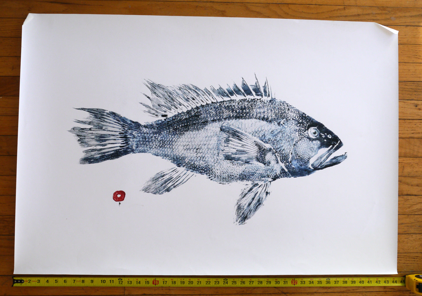 Blue Black Seabass